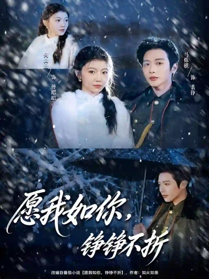 愿我如你，铮铮不折