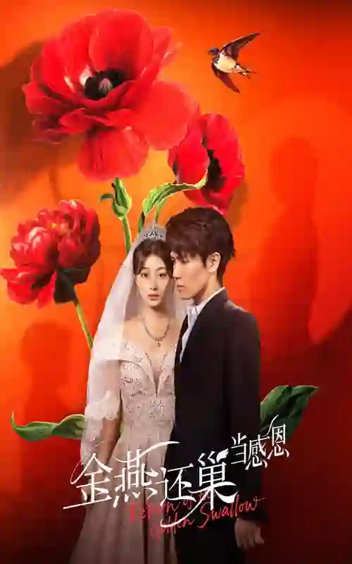 金燕还巢当感恩